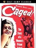 poster du film Femmes en cage