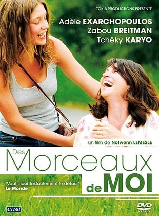 poster du film Bande-annonce Des Morceaux de Moi